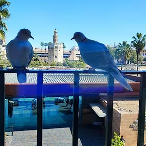  Séjour chez l'habitant Betis Del Oro Espagne